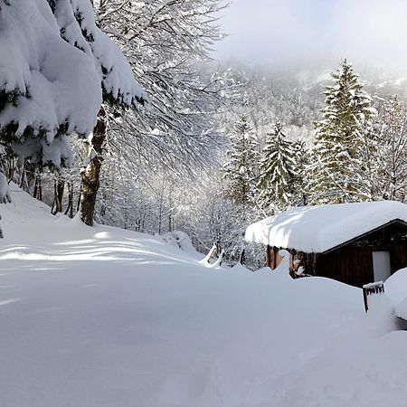 Ferienhaus Baerschwendi Lungern ภายนอก รูปภาพ