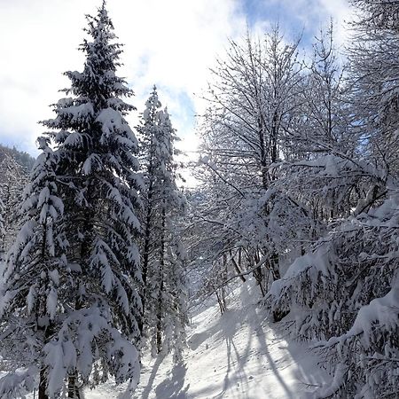Ferienhaus Baerschwendi Lungern ภายนอก รูปภาพ