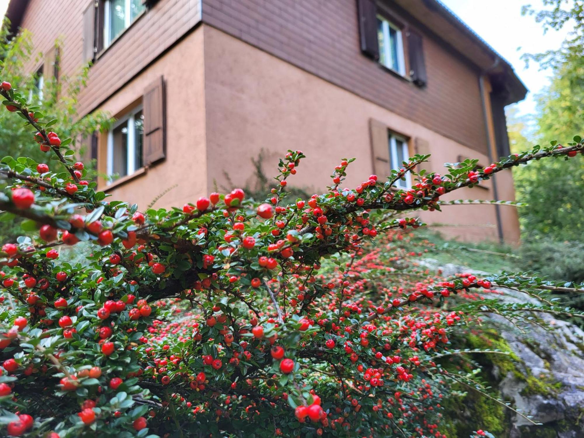 Ferienhaus Baerschwendi Lungern ภายนอก รูปภาพ
