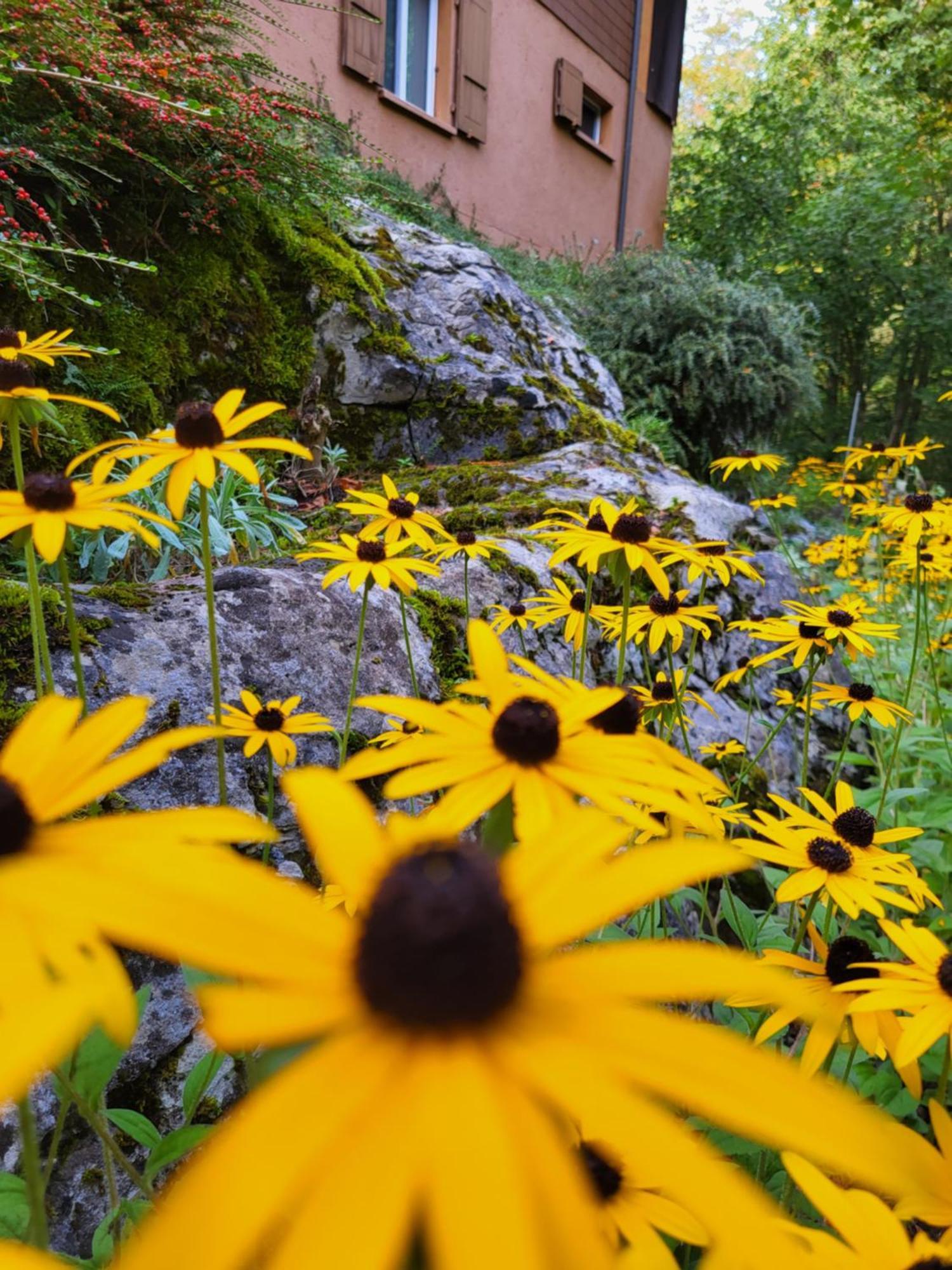 Ferienhaus Baerschwendi Lungern ภายนอก รูปภาพ