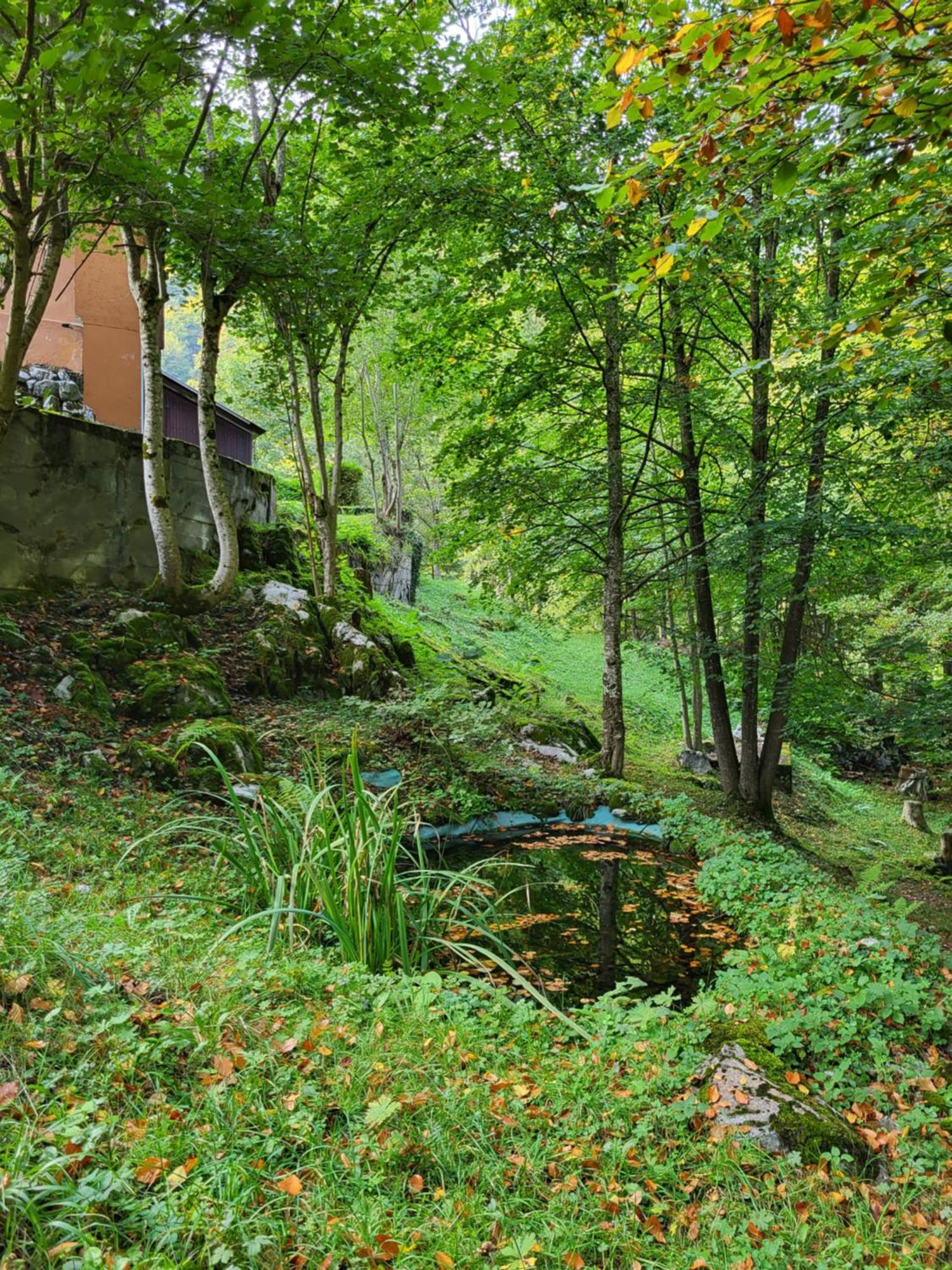 Ferienhaus Baerschwendi Lungern ภายนอก รูปภาพ