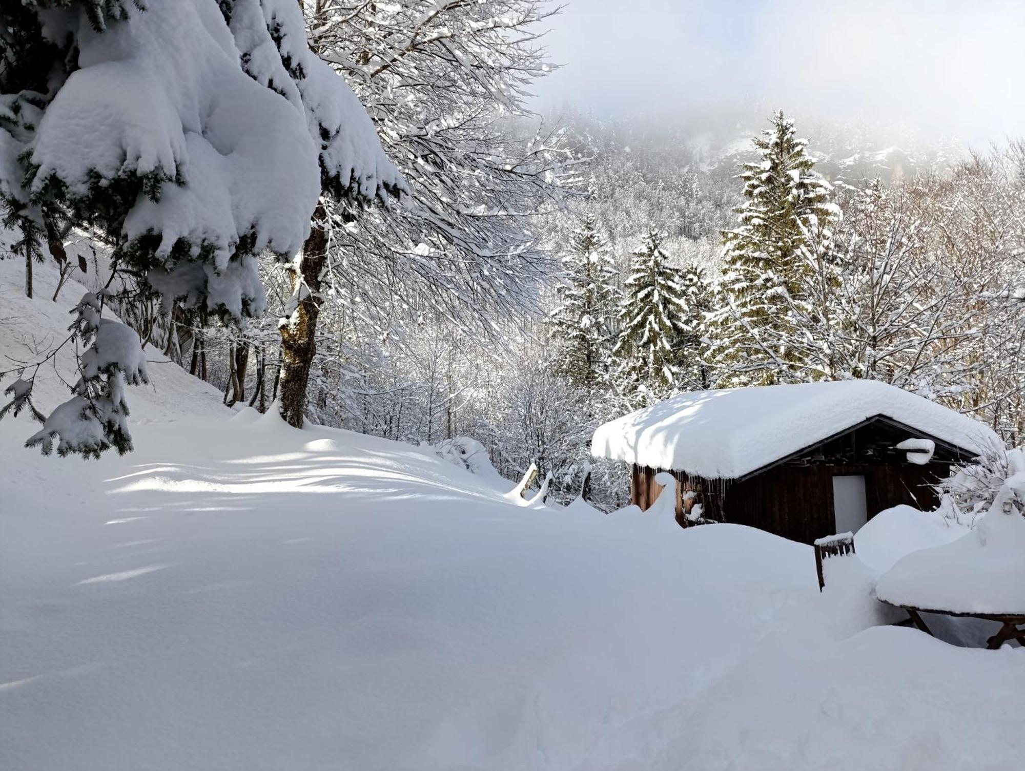 Ferienhaus Baerschwendi Lungern ภายนอก รูปภาพ