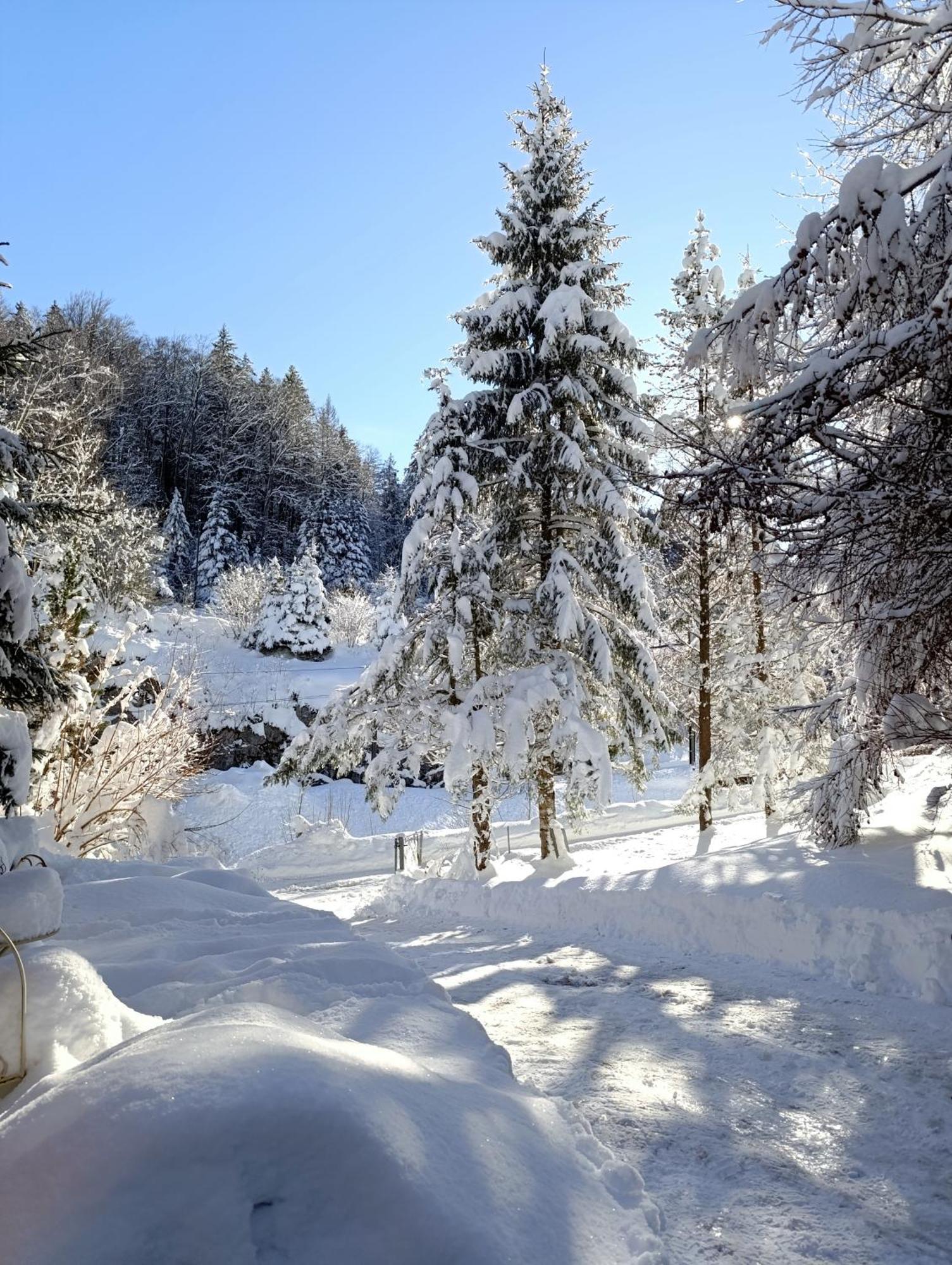 Ferienhaus Baerschwendi Lungern ภายนอก รูปภาพ