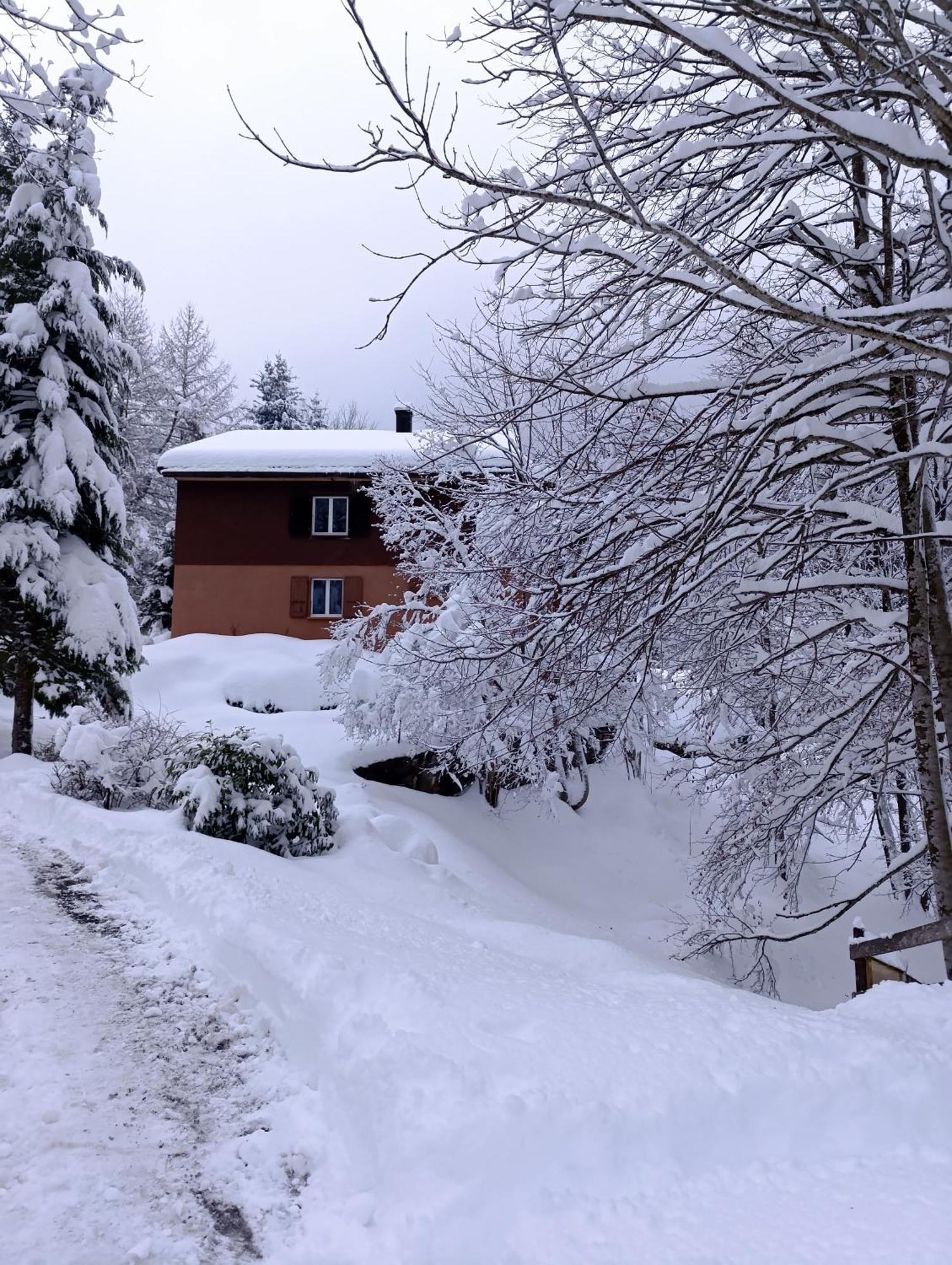 Ferienhaus Baerschwendi Lungern ภายนอก รูปภาพ