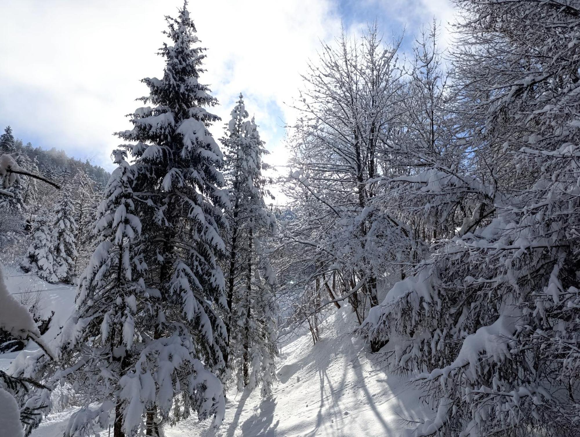 Ferienhaus Baerschwendi Lungern ภายนอก รูปภาพ
